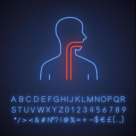 Icono De Luz De Neón De Garganta Sana Cavidad Bucal Faringe Y Esófago