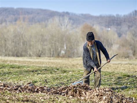 Old Farmer Spring Cleaning The Orchard Stock Photo Image Of Male