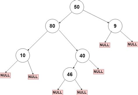 C Program To Print Ancestors Of A Given Node In Binary Tree C