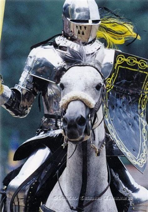 19 Best Knights In Shining Armor Images On Pinterest Medieval Armor