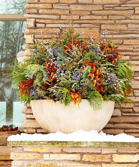 Good Plants For Outdoor Pots In Winter Outdoor Lighting Ideas