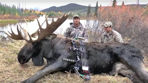 Archery Yukon Moose Hunt With Bob Fromme In 2020 Moose Hunting Moose