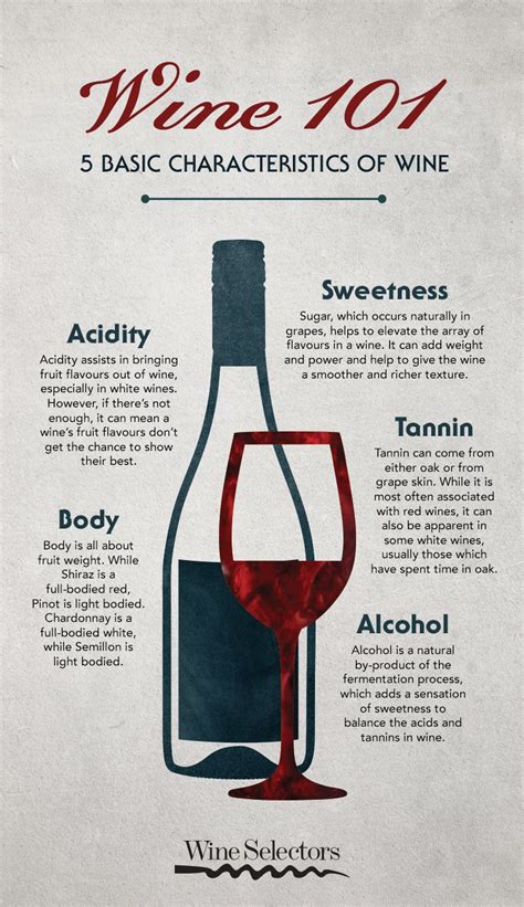 5 Basic Wine Characteristics Wine Descriptions Wine Tasting Wine