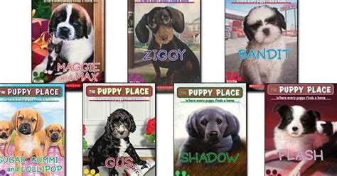 Please read the rules before doing anything to this wiki. List of all puppy place books > ninciclopedia.org