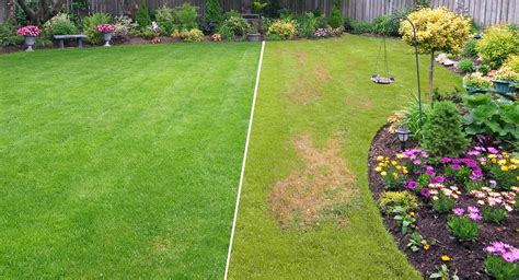 A Guide To Spring Lawn Feed & Care | Love The Garden