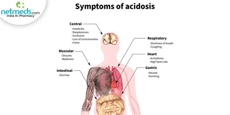 Metabolic Acidosis Causes Symptoms And Treatment