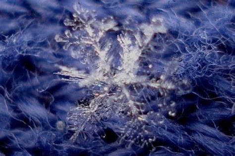 A Snowflake — Science Learning Hub