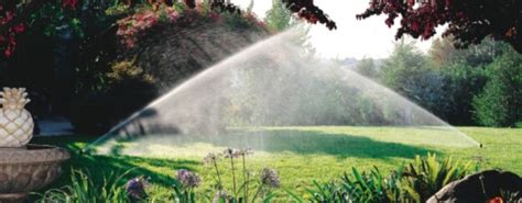citywide sprinklers sprinkler system repairs and retrofit