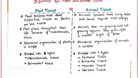 Tissue Difference Bw Plant And Animal Tissue Class9 Biology Youtube
