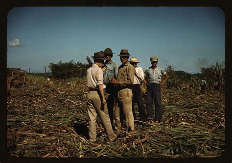 Sugar Cane Workers Resting Rio Piedras Puerto Rico Loc  Flickr
