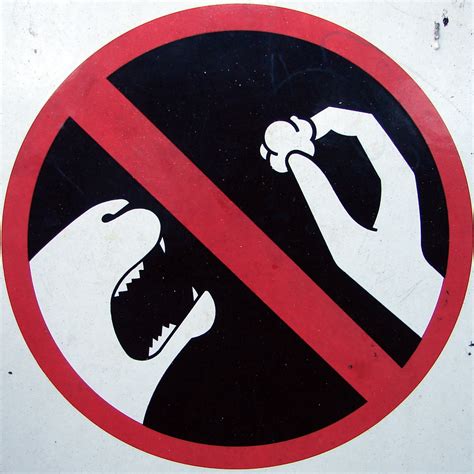 Or the polar bears eclairs. Do Not Feed The Animals Popcorn | Everything else is ...