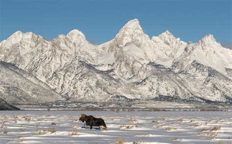 Grand Teton In Winter 30 Things To Know Before You Go Eternal Arrival