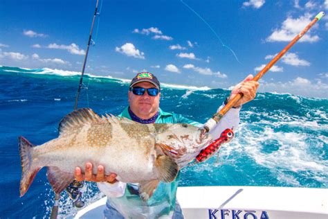 Cairns Marlin Fishing Kekoa Sports Fishing Charters