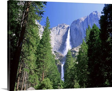 Upper And Lower Yosemite Falls Yosemite National Park California Wall