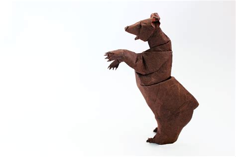 Wallpaper Bear Brown Animal Paper Origami Grizzly Unryu