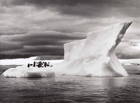 Nature Landscape Animals Ice Penguins Iceberg
