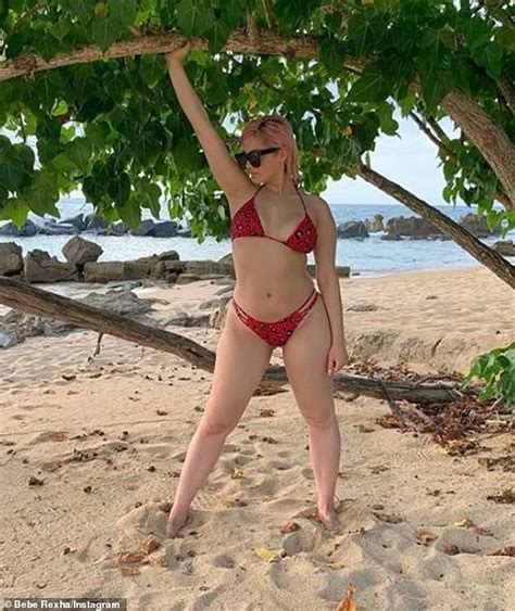Bebe Rexha Posts Unedited Bikini Picture With Rant Against Society