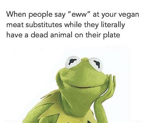 Vegan Memes That Just May Turn You Vegan Move Over Vegetarians Memes