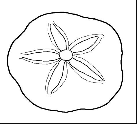 Sand Dollar Coloring Pages