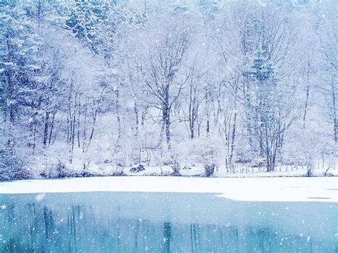 Frozen Lake And Snow Fall Winter Wallpapers Truly Hand Picked