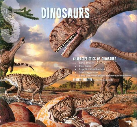 Dinosaurs Of The Deep Discover Prehistoric Marine Life Nhbs