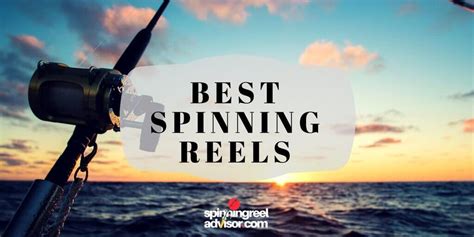 Top Best Spinning Reel Reviews Buying Guide In