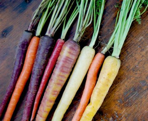 Colorful Carrots Food Pinterest