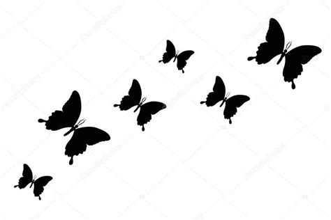 Sunflower is a vector of acworks author. Set of black butterfly silhouette isolated on a white ...