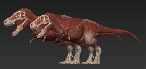 Vitamin Imagination Tyrannosaurus Rex Skeleton [sue Stan] By Vitamin Imagination