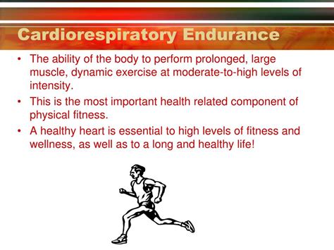 What Are Some Examples Of Cardiorespiratory Endurance Best Home
