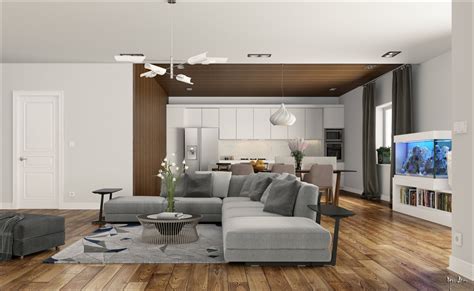 Grey Living Room Floor Zion Modern House