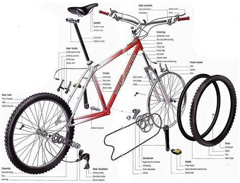 Part of frame or an attachment to the frame to which the derailleur is attached hood: Bicycle parts | Bike components, Mountain bike components ...
