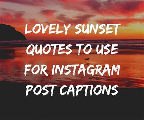 50 Lovely Sunset Quotes To Use For Instagram Post Captions Legitng