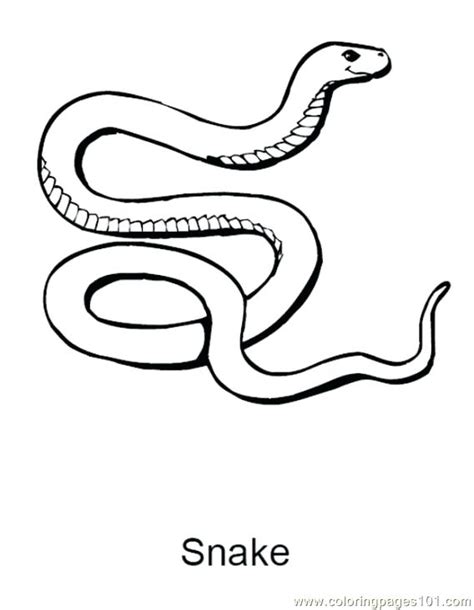 100% free coloring page of sea serpent. Sea Serpent Coloring Pages at GetColorings.com | Free ...