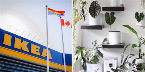 Op deze pagina hebben wij een overzichtelijke collectie van websites gemaakt met meer informatie over het onderwerp ikea family logo. IKEA Canada Has Just Revamped Its IKEA Family Loyalty Program