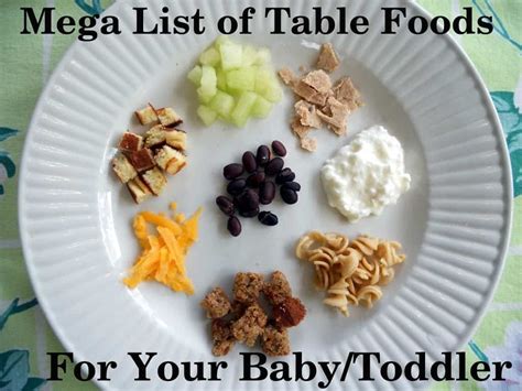 Don't worry if the baby is not ready to eat on her own! Mega List of Table Foods for Your Baby or Toddler - Your ...