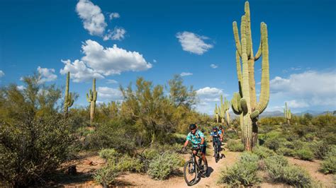 Arizona Sonoran Desert Weekend Mountain Biking Rei Adventures