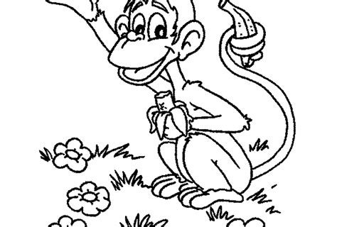 Jangan dicampur dengan echo, karena itu adalah hal lain. 20 Gambar Sketsa Monyet Kartun Gambar Mewarnai Monyet Lucu ...