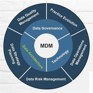 Develop A Master Data Management Strategy And Roadmap Info Tech