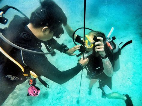 Controlled Emergency Swimming Ascend Padi Diving Scuba Diving