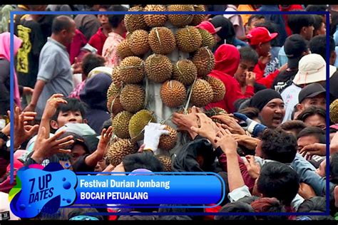 Trans7 Festival Durian Jombang