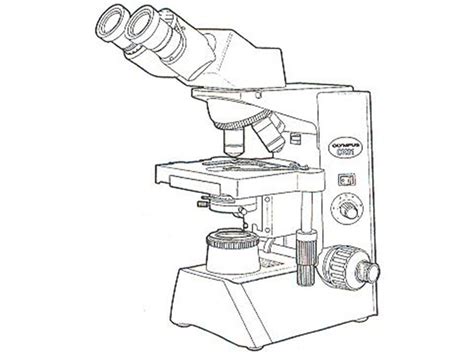 Compound Light Microscope Parts Blank Sketch Coloring Page