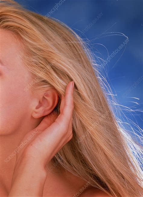 Womans Ear Stock Image P4300014 Science Photo Library