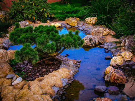 35 Backyard Pond Images Great Landscaping Ideas