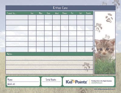 Maybe you would like to learn more about one of these? Take Care of a Pet Cat