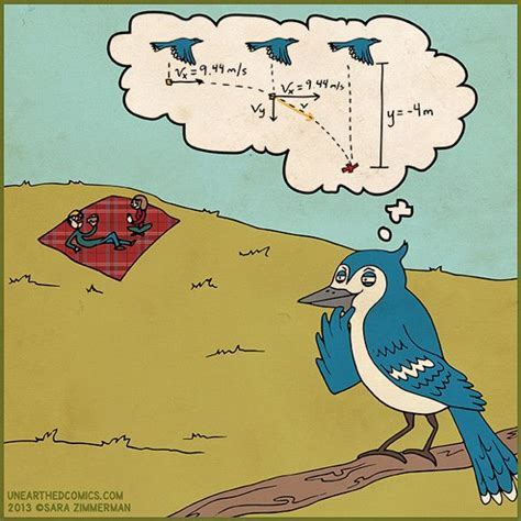 Birds Funny Pic Science Cartoons Physics Jokes Physics Humor