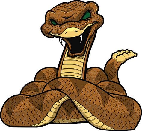Diamondback Rattlesnake Clipart 20 Free Cliparts Download Images On