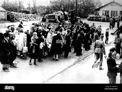 Deportation Of Jews At Kosseg Stock Photo Alamy