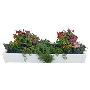 Some of the most reviewed products in raised garden beds are the city pickers 24.5 in. Handy Bed 12 in. x 48 in. x 6 in White Vinyl Raised Garden ...