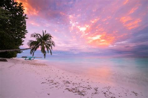 Tranquil Beach Sunset Scene Exotic Tropical Beach